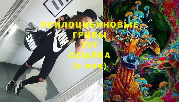 гидра Алзамай