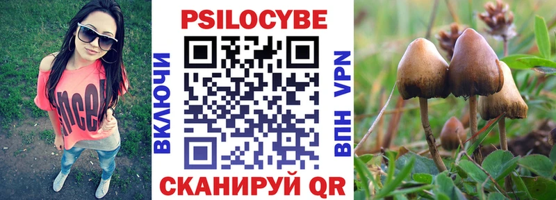 Галлюциногенные грибы Psilocybe Каргат